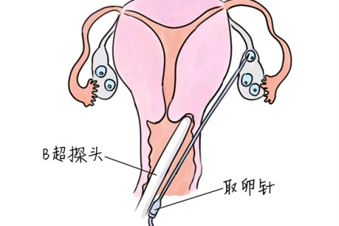 http://nanning.huochezhan.net/post/205.html|南宁供卵助孕