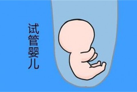 培养南宁捐卵宝宝艺术细胞的小技巧