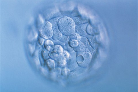 http://nanning.huochezhan.net/post/200.html|南宁新闻中心